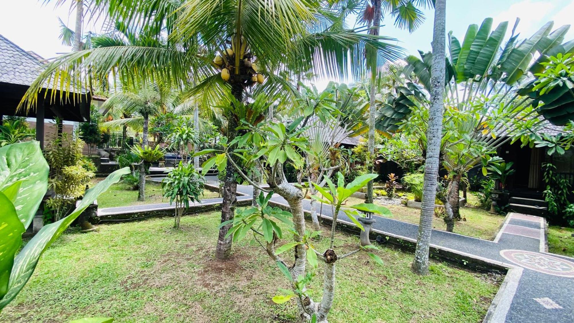Dong Loka Guesthouse Bali Carangsari Exterior foto